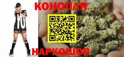 амф Гусев