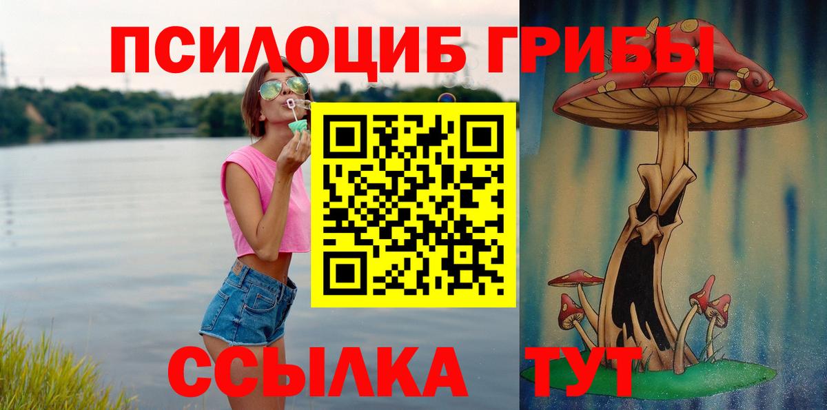 Псилоцибиновые грибы GOLDEN TEACHER  Псилоцибиновые грибы ЛСД  Вход с VPN  Новосибирск 